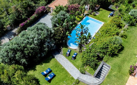 Villa Bambù 9+2: Blue, Swimming Pool, Resort, Shrub, Garden, Leisure, Eco Hotel, Landscaping, Hacienda, Backyard