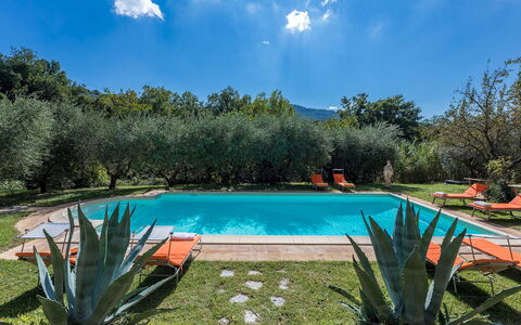 Casa Pippin 8: Swimming Pool, Hacienda, Resort, Garden, Estate, Eco Hotel, Farmhouse, Landscaping, Backyard, Yard