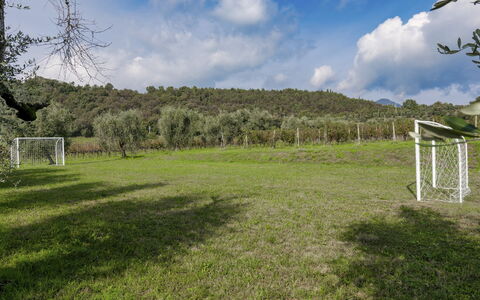 Tenuta Navelli 12+2: Grass, Tree, Grassland, Land Lot, Plain, Meadow, Pasture, Lawn, Field