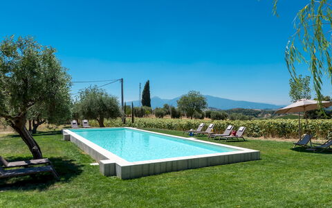 La Buona Maniera 10: Swimming Pool, Garden, Estate, Farmhouse, Hacienda, Lawn, Resort, Backyard, Yard, Eco Hotel