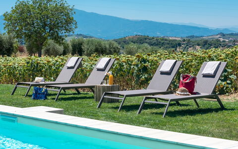La Buona Maniera 10: Outdoor Furniture, Sunlounger, Garden, Lawn, Shade, Swimming Pool, Resort, Yard, Landscaping, Chaise Longue