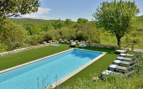Casa la Pratellaccia 6+2: Swimming Pool, Garden, Leisure, Resort, Backyard, Shade, Water Feature, Eco Hotel, Landscaping, Thermae