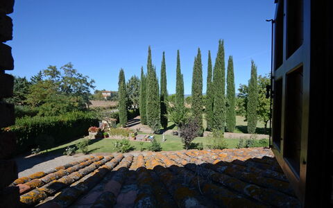 La Magia 8+2: Shrub, Garden, Landscaping, Evergreen, Pine Family, Hedge