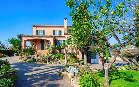 Villa la Cicaliera 10: Blue, Shrub, Garden, Landscaping, Hacienda, Estate, Villa, Tropics, Eco Hotel, Mansion