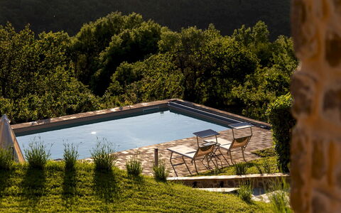 Poggio delle Lumie 6: Swimming Pool, Outdoor Furniture, Garden, Sunlounger, Landscaping, Backyard, Eco Hotel, Chaise Longue, Farmhouse, Villa