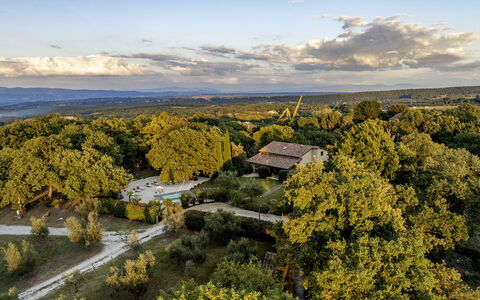 Villa Sparta 8+2: Tree, Nature, Leaf, Grass, Natural Environment, Vegetation, Landscape, Natural Landscape, Plain