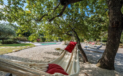 Villa Sparta 8+2: Branch, Trunk, Leisure, Spring, Shade, Sunlight, Garden, Park, Vacation, Shadow