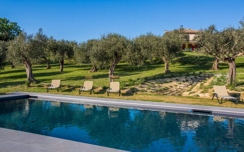 Casa Eugenia 8: Blue, Swimming Pool, Garden, Estate, Landscaping, Villa, Hacienda