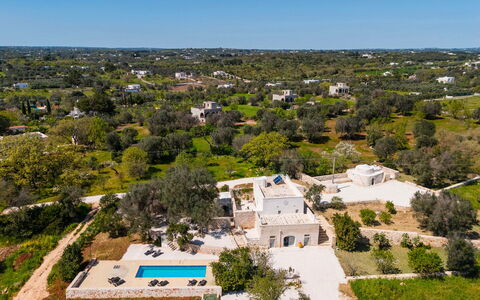 Masseria Grotta Antica 6+2: Tree, Landscape, Estate, Bird'S-Eye View, Landscaping, Aerial Photography, Swimming Pool, Villa, Hacienda, Plantation