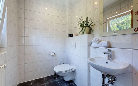 Ferienhaus Siegele: Flooring, Plumbing Fixture, Interior Design, Bathroom, Floor, Plumbing, Sink, Tap, Tile, Bathroom Sink