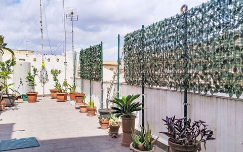 La Casa di Mary: Estate, Landscaping, Villa, Hedge, Balcony