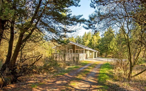 Liina - 3Km from the Sea: Tree, Natural Environment, Branch, Wood, Home, Cottage, Rural Area, Land Lot, Woodland, Twig