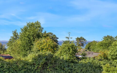 Kora - 300M from the Sea: Blue, Sky, Leaf, Green, Nature, Vegetation, Shrub, Plant Community, Spring, Sunlight