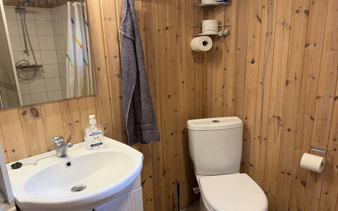 Hedwig - 120M to the Fjord: Toilet Seat, Bathroom, Plumbing Fixture, Toilet, Bathroom Sink, Wood, Flooring, Sink, Floor, Interior Design