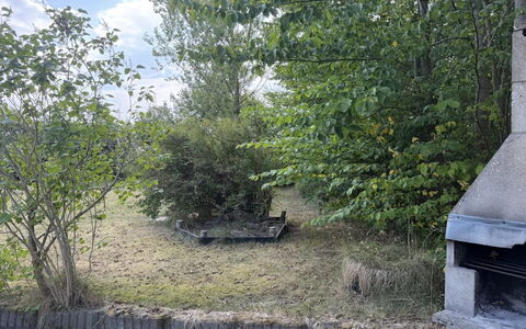 Hedwig - 120M to the Fjord: Shrub, Garden, Woody Plant, Backyard, Landscaping, Evergreen