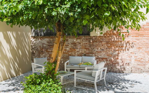 Contemporary House: Leaf, Outdoor Furniture, Furniture, Shrub, Garden, Shade, Spring, Chair, Backyard