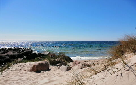 Jasper - 100M from the Sea: Blue, Natural Environment, Beach, Coast, Sea, Horizon, Coastal And Oceanic Landforms, Summer, Shore