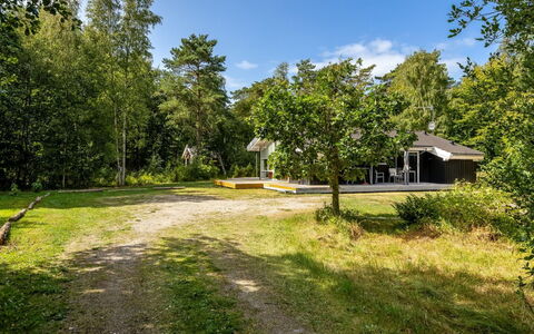 Naninja - 924M from the Sea: Tree, Grass, Green, Leaf, Branch, Vegetation, Shrub, House, Home