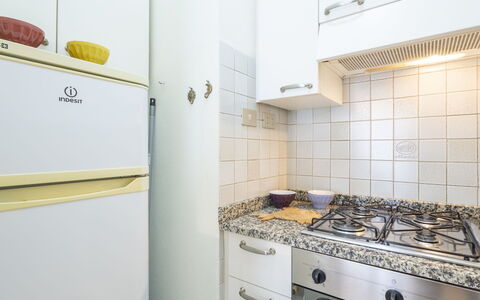 Nautilus: Major Appliance, Flooring, Interior Design, Floor, Room, Kitchen, Kitchen Appliance, Home, Cabinetry, Countertop
