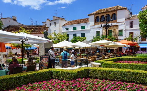 La Quinta Hills: Public Space, Garden, Mixed-Use, Leisure, Landscaping, Vacation, Botanical Garden, Town Square, Umbrella