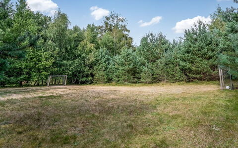Carlina - from the Sea: Tree, Grass, Land Lot, Meadow, Pasture, Woodland, Larch, Lawn, Evergreen
