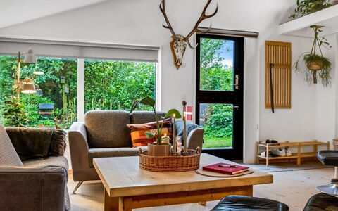 Gesine - 20Km to the Fjord: Furniture, Interior Design, Wood, Ceiling, Flooring, Living Room, Couch, Light Fixture, Room, Lighting