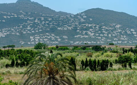 Oliva Nova Cabagua: Mountainous Landforms, Vegetation, Mountain, Hill, Landscape, Ecoregion, Highland, Plant Community, Hill Station, Mountain Range