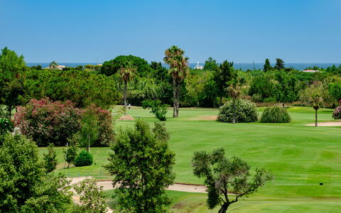 Oliva Nova Cabagua: Tree, Shrub, Landscape, Land Lot, Grassland, Garden, Lawn, Landscaping, Plantation