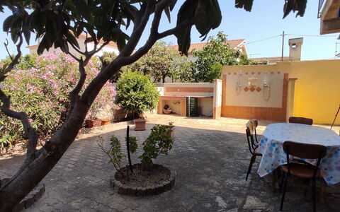Casa Bianca, Budoni: Flowerpot, Shade, Houseplant, Yard, Hacienda, Courtyard, Balcony, Backyard