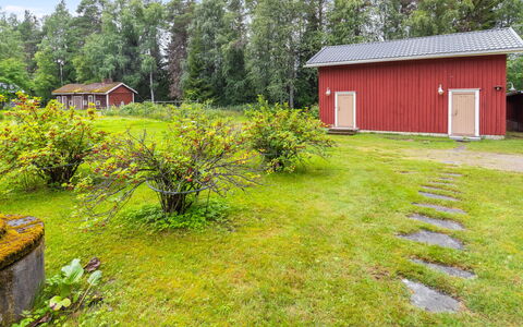 Alpola: Grass, Green, Vegetation, Shrub, Land Lot, House, Cottage, Plant Community, Garden