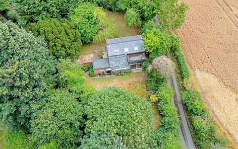Hollybush Studio: Tree, Vegetation, Landscape, House, Rural Area, Shrub, Roof, Cottage, Home, Plant Community