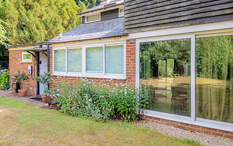 Hollybush Studio: Home, House, Shrub, Residential Area, Roof, Cottage, Door, Land Lot, Estate, Garden