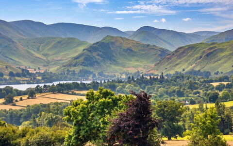 Willow'S View: Mountain, Mountainous Landforms, Green, Hill, Natural Landscape, Highland, Mountain Range, Grassland, Landscape, Ecoregion