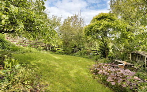 Bourne Edge: Grass, Vegetation, Shrub, Garden, Plant Community, Grassland, Groundcover, Land Lot, Spring