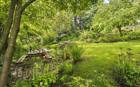 Bourne Edge: Green, Tree, Leaf, Nature, Natural Environment, Grass, Branch, Vegetation, Natural Landscape