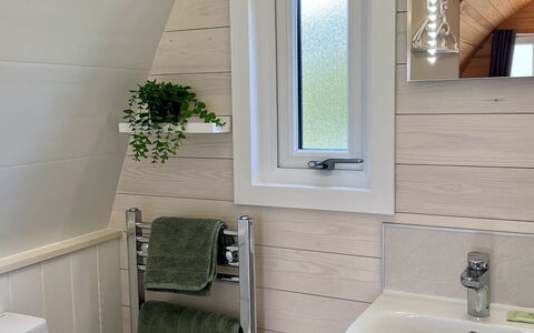 Whinfell Pod: Flooring, Bathroom, Plumbing Fixture, Hardwood, Light Fixture, Plank, Toilet, Houseplant, Wood Flooring