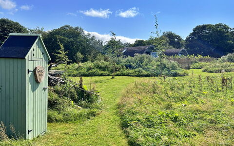 Whinfell Pod: Grass, Shrub, Grassland, Plant Community, Rural Area, Land Lot, Garden, Groundcover