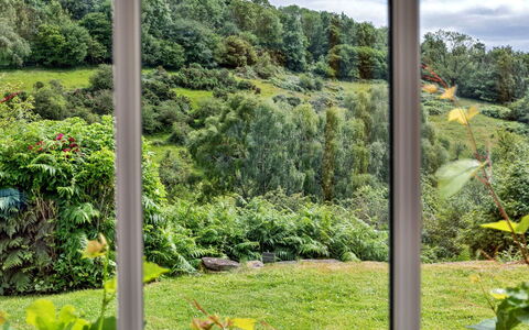 Mole End: Green, Leaf, Vegetation, Shrub, Plant Community, Land Lot, Groundcover, Garden, Plantation