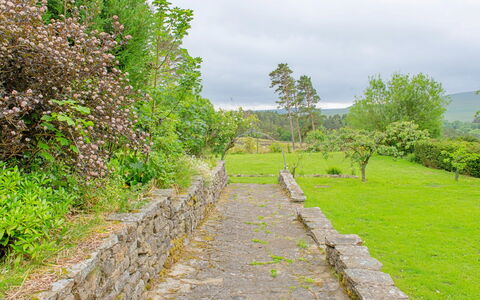 Evergreen Manor: Grass, Natural Environment, Natural Landscape, Vegetation, Shrub, Grassland, Stone Wall, Landscape, Plant Community