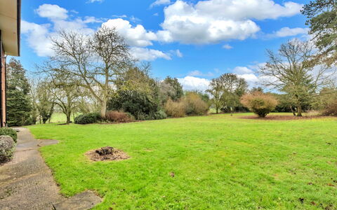 Clavering Hall: Tree, Grass, Shrub, Grassland, Garden, Plain, Land Lot, Lawn, Groundcover