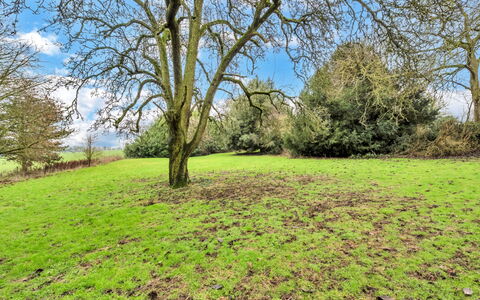 Clavering Hall: Green, Grass, Tree, Natural Environment, Branch, Leaf, Grassland, Vegetation, Natural Landscape, Ecoregion