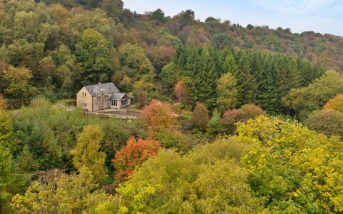 Rough Close Farm Cottage: Tree, Natural Environment, Nature, Leaf, Vegetation, Shrub, Plant Community, Forest, Rural Area, Nature Reserve
