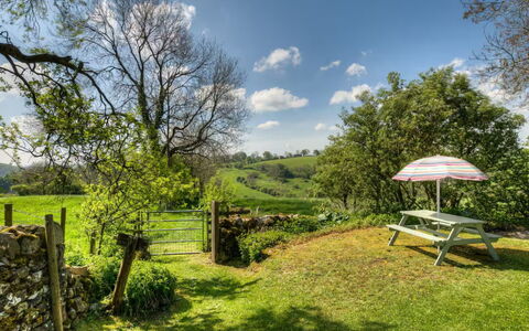 Town End Barn: Tree, Grass, Natural Landscape, Grassland, Shrub, Rural Area, Land Lot, Garden, Meadow