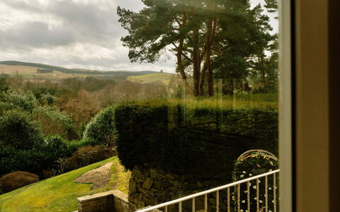 Greenacres: Sunlight, Garden, Landscaping, Hedge, Plantation