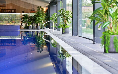 The Glass House at the Lakes by Yoo: Swimming Pool, Flowerpot, Resort, Houseplant, Shade, Eco Hotel, Hotel, Design, Courtyard, Water Feature