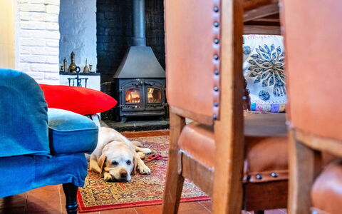 Cricketers' Cottage: Furniture, Interior Design, Wood, Living Room, Flooring, Textile, Couch, Floor, Room, Lighting