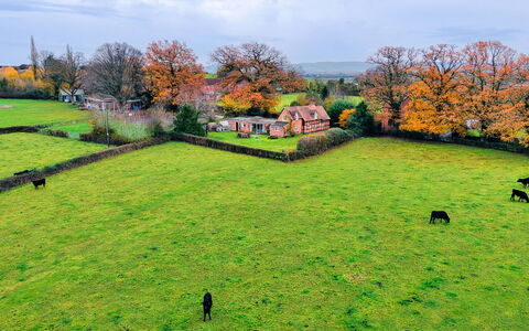 Cricketers' Cottage: Grass, Green, Grassland, Landscape, Rural Area, Plain, Land Lot, Pasture, Meadow, Field