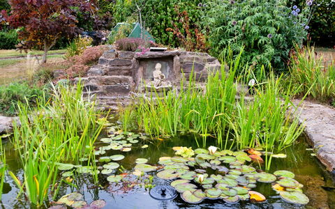 New Lodge Granary: Green, Garden, Pond, Shrub, Groundcover, Water Feature, Fish Pond