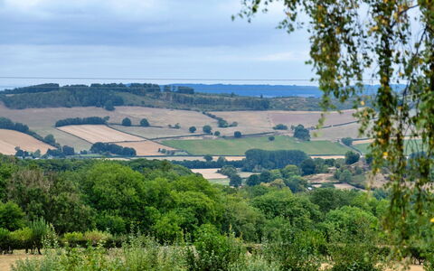 New Lodge Granary: Green, Vegetation, Natural Landscape, Shrub, Grassland, Ecoregion, Plant Community, Landscape, Plain, Land Lot
