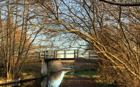 Canal Central: Water, Body Of Water, Nature, Branch, Waterway, Bridge, Natural Landscape, Canal, Watercourse, Bank
